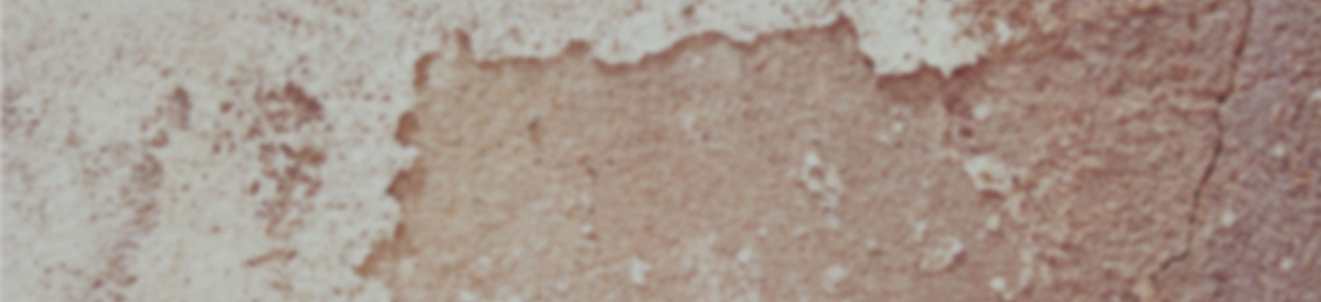 在线短信云呼网